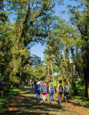 Caminhos do Mar - Revista Nove - Foto Christian Jauch2
