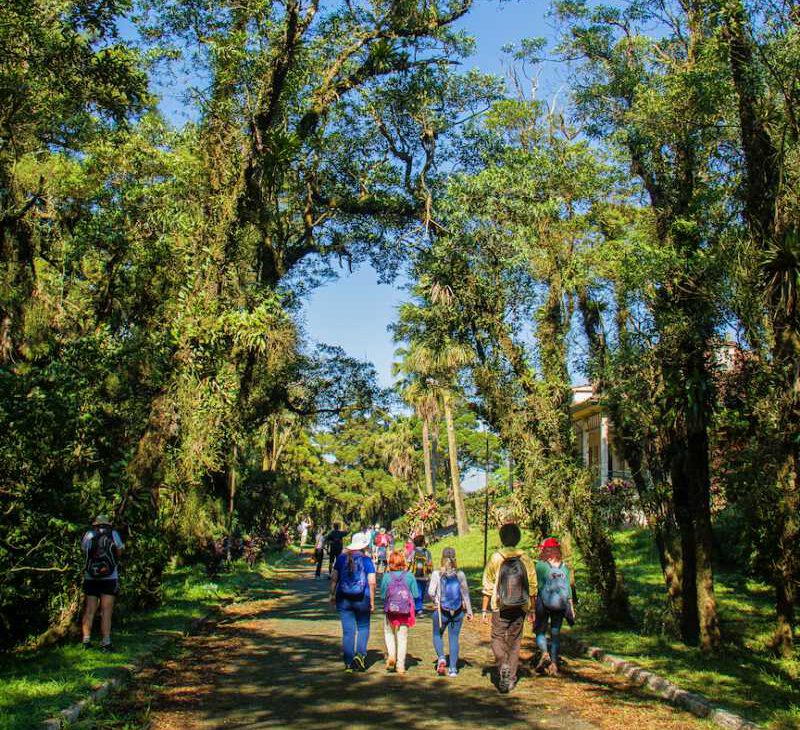 Caminhos do Mar - Revista Nove - Foto Christian Jauch2
