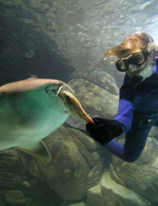 Feriado em Santos e região - Revista Nove - Acquamundo Guarujá - Foto Divulgação