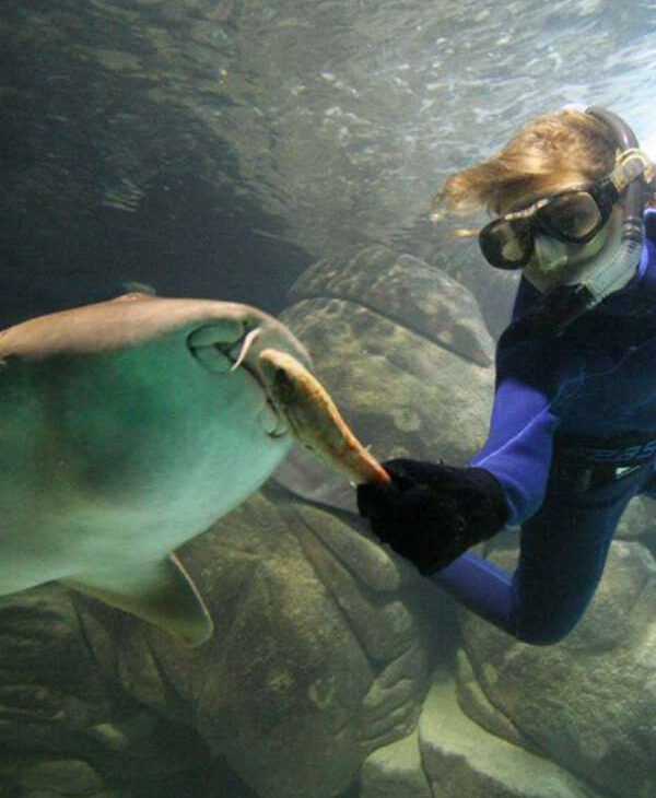Feriado em Santos e região - Revista Nove - Acquamundo Guarujá - Foto Divulgação