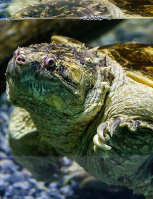 Passeios para dias de chuva em Santos e região - Revista Nove - Foto Christian Jauch2