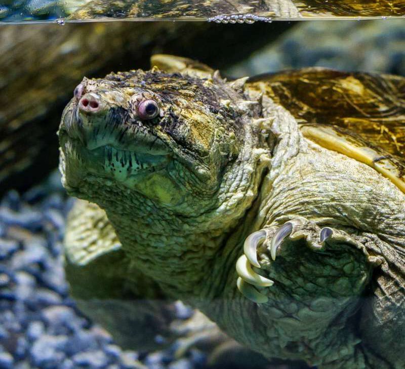 Passeios para dias de chuva em Santos e região - Revista Nove - Foto Christian Jauch2