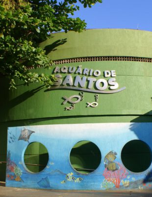 Cursos de férias em Santos - Revista Nove - Foto RoteiroBR2