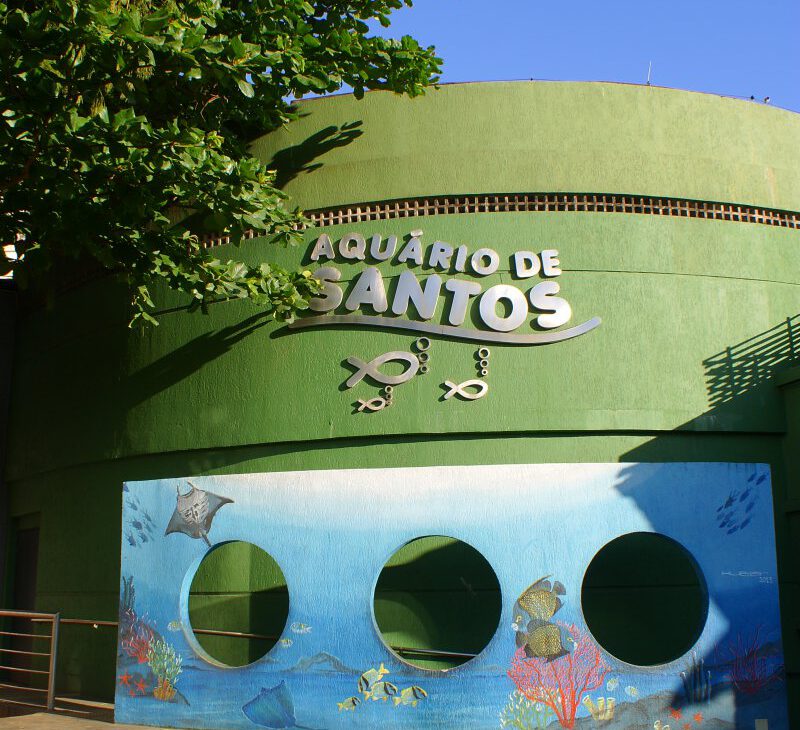 Cursos de férias em Santos - Revista Nove - Foto RoteiroBR2