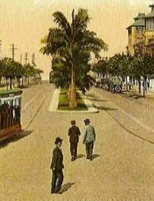 avenida-ana-costa-gonzaga