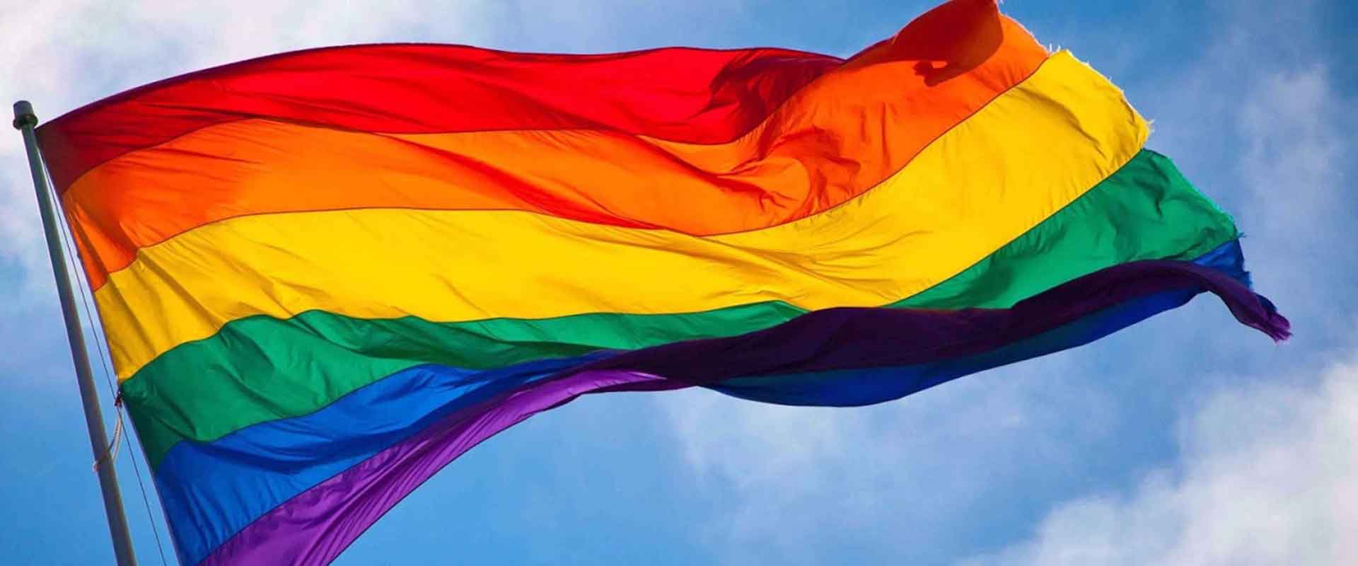 Tudo sobre a 2ª Parada do Orgulho LGBT de Santos - Revista ...