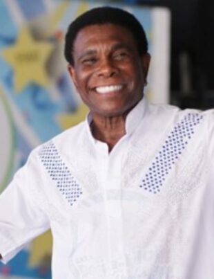 neguinho-da-beija-flor