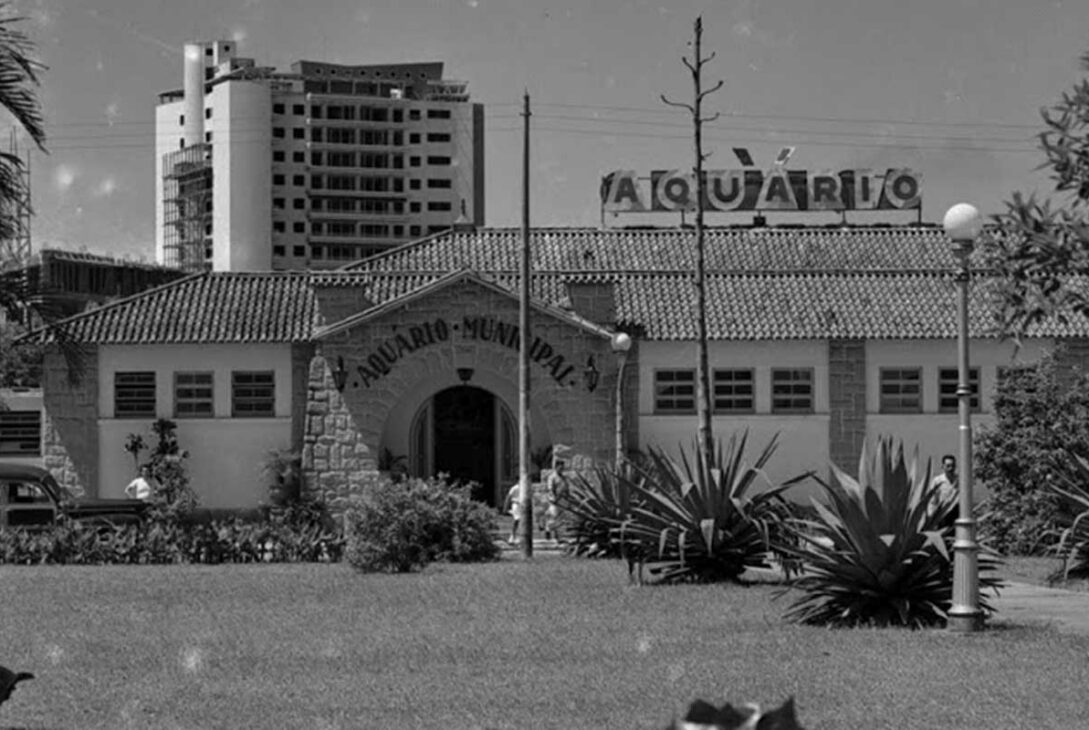 aquario-de-santos-curiosidades-revista-nove-capa