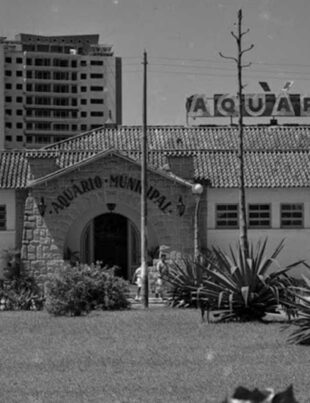 aquario-de-santos-curiosidades-revista-nove-capa