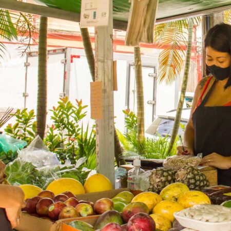 feira-organicos-sao-vicente-revista-nove